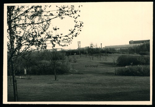 Berlin 1959 volkspark - -,