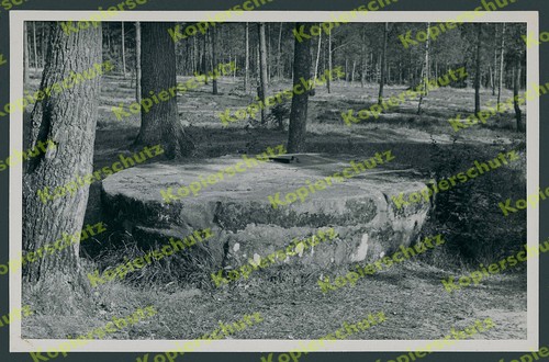 Foto bodendenkmal sebalder - foto,