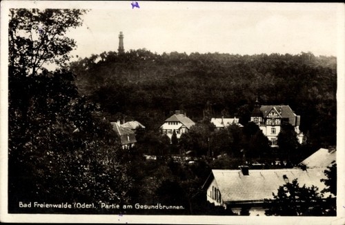 Bad freienwalde der - ak, an
